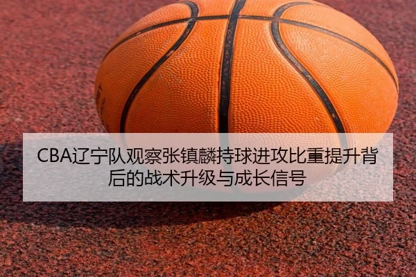 CBA辽宁队观察张镇麟持球进攻比重提升背后的战术升级与成长信号